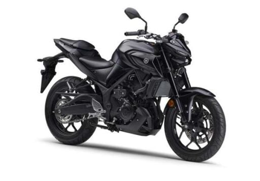 MT-25 ABS (2016 - )
