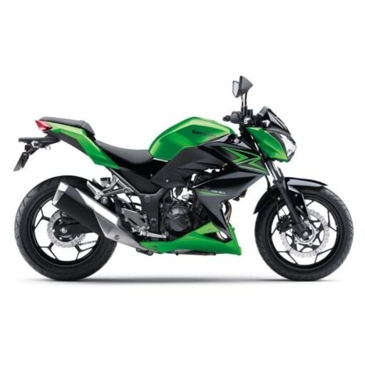 Z 300  (2015-2016)