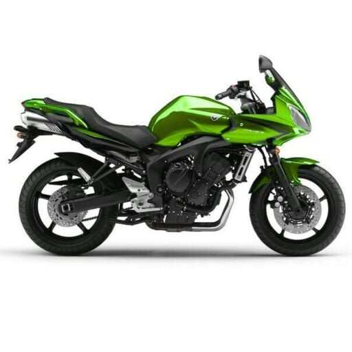 FZ 6 FAZER S2 ABS (2007 - )