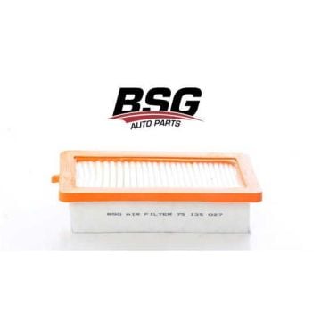 Renault Clio 5 Hava Filtresi 1.0 TCe 100 Beygir 2020-2021 BSG