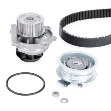 Volkswagen Passat B5 Triger Seti 1.6 102 Beygir Devirdaimli 2001-2005 INA