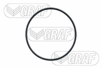 Citroen C4 Devirdaim / Su Pompası 1.6 16V 110 Beygir 2005-2010 GRAF