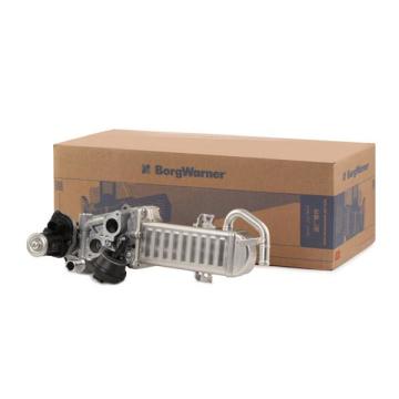 Volkswagen Passat B7 Soğutuculu EGR Valfi 1.6 TDI 105 Beygir CAY Motor 2011-2014 WAHLER