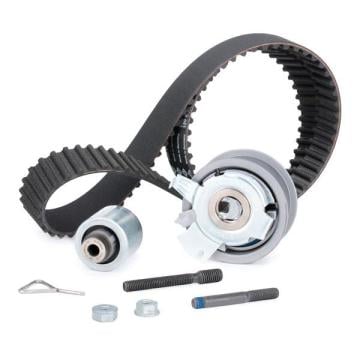 Volkswagen Touran Triger Seti 1.9 TDI 105 Beygir 2003-2010 INA