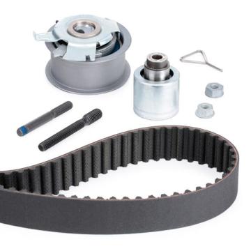 Volkswagen Touran Triger Seti 1.9 TDI 105 Beygir 2003-2010 INA