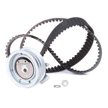 Seat Leon 1 Triger Seti 1.6 Benzinli 102 Beygir Devirdaimsiz 2000-2005 INA