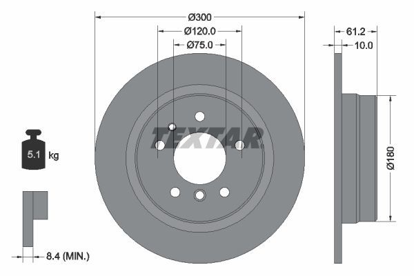 BMW 5 Serisi E34 Kasa Arka Fren Diski Düz Tip 300 mm Çap 1991-1995 TEXTAR