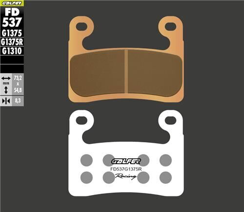 BMW S 1000 RR Ön Fren Balatası Çift Pimli 2019-2020 GALFER SİNTER METAL SERAMİK SPORT RACING