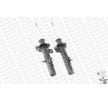 Citroen C3 Amortisör Gazlı Ön Sağ/Sol Takım 2002-2009 MONROE REFLEX