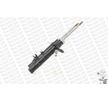 Citroen C3 Amortisör Gazlı Ön Sağ/Sol Takım 2002-2009 MONROE REFLEX
