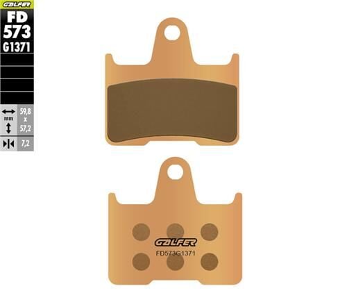 BMW M 1000 RR Arka Fren Balatası 2021 Sonrası GALFER SİNTER METAL