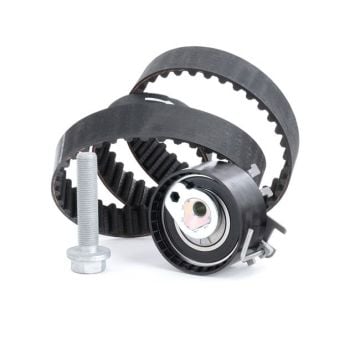 Renault Clio 4 Triger Seti 1.2 16V Benzinli 75 Beygir 2012-2019 INA